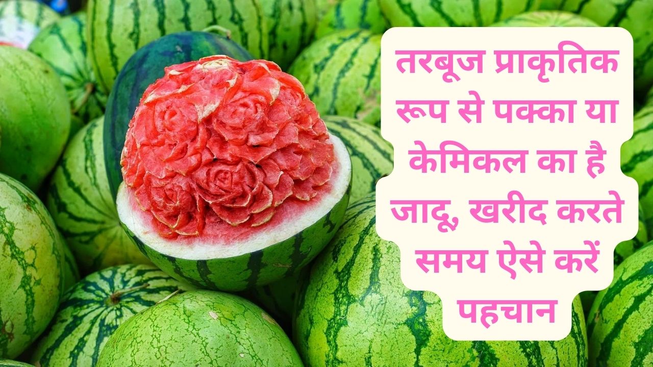 तरबूज प्राकृतिक रूप से पक्का या केमिकल का है जादू, खरीद करते समय ऐसे करें पहचान