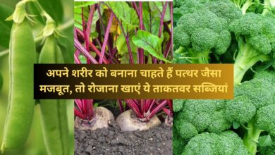 Best Vegetables For Health:अपने शरीर को बनाना चाहते हैं पत्थर जैसा मजबूत, तो रोजाना खाएं ये ताकतवर सब्जियां