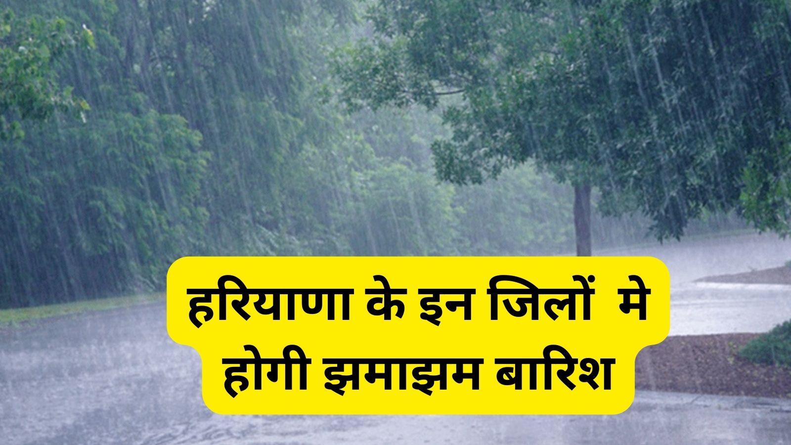 Monsoon Forecast Haryana 24 August