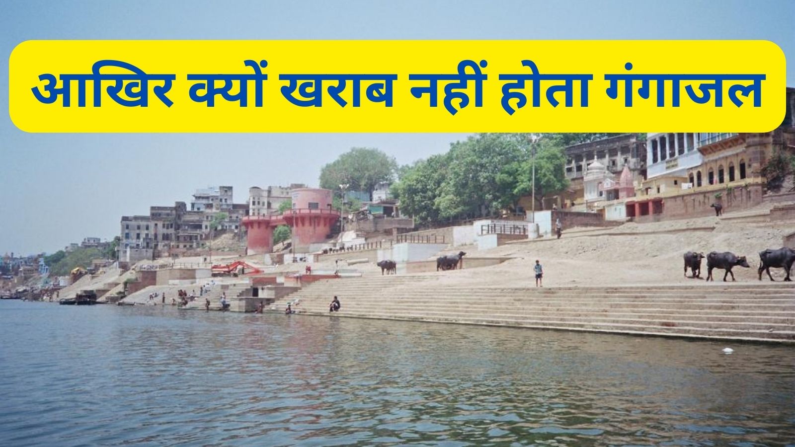 Ganga Jal:आखिर क्यों खराब नहीं होता गंगाजल ?वैज्ञानिकों ने बताया इसका राज!