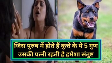 Chanakya Niti:जिस पुरुष में होते हैं कुत्ते के ये 5 गुण उसकी पत्नी रहती है हमेशा संतुष्ट