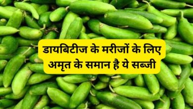 Kundru Vegetable:डायबिटीज के मरीजों के लिए अमृत के समान है ये सब्जी, मिलते हैं कई फायदे