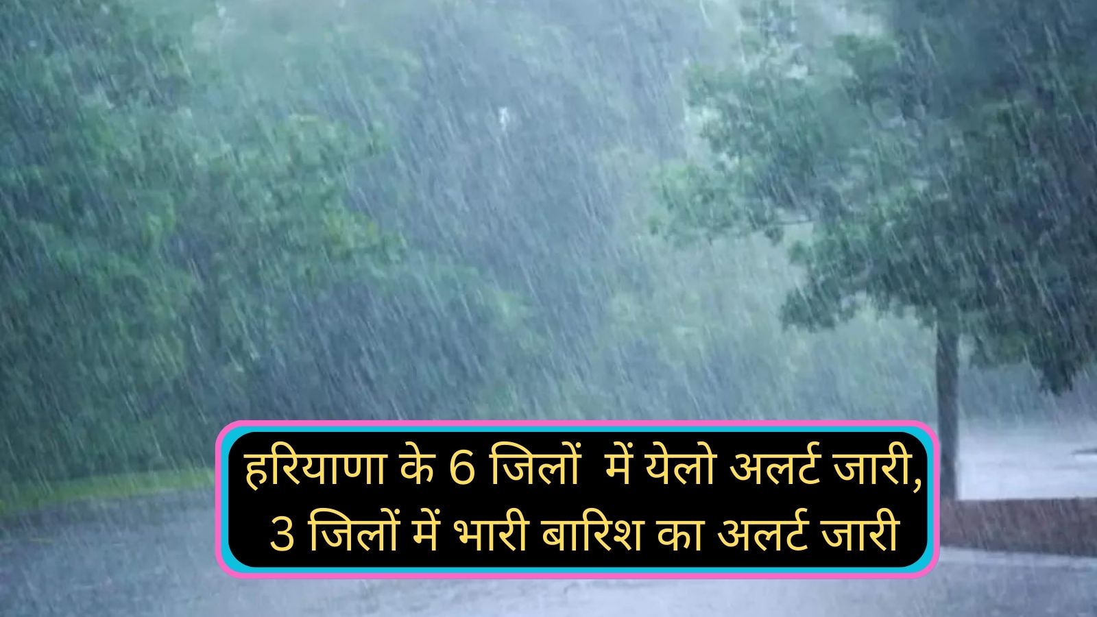 Haryana Weather Alert: हरियाणा के 6 जिलों में येलो अलर्ट जारी, 3 जिलों में भारी बारिश का अलर्ट जारी,