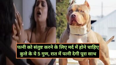 Chanakya Niti:पत्नी को संतुष्ट करने के लिए मर्द में होने चाहिए कुत्ते के ये 5 गुण, रात में पत्नी देगी पूरा साथ