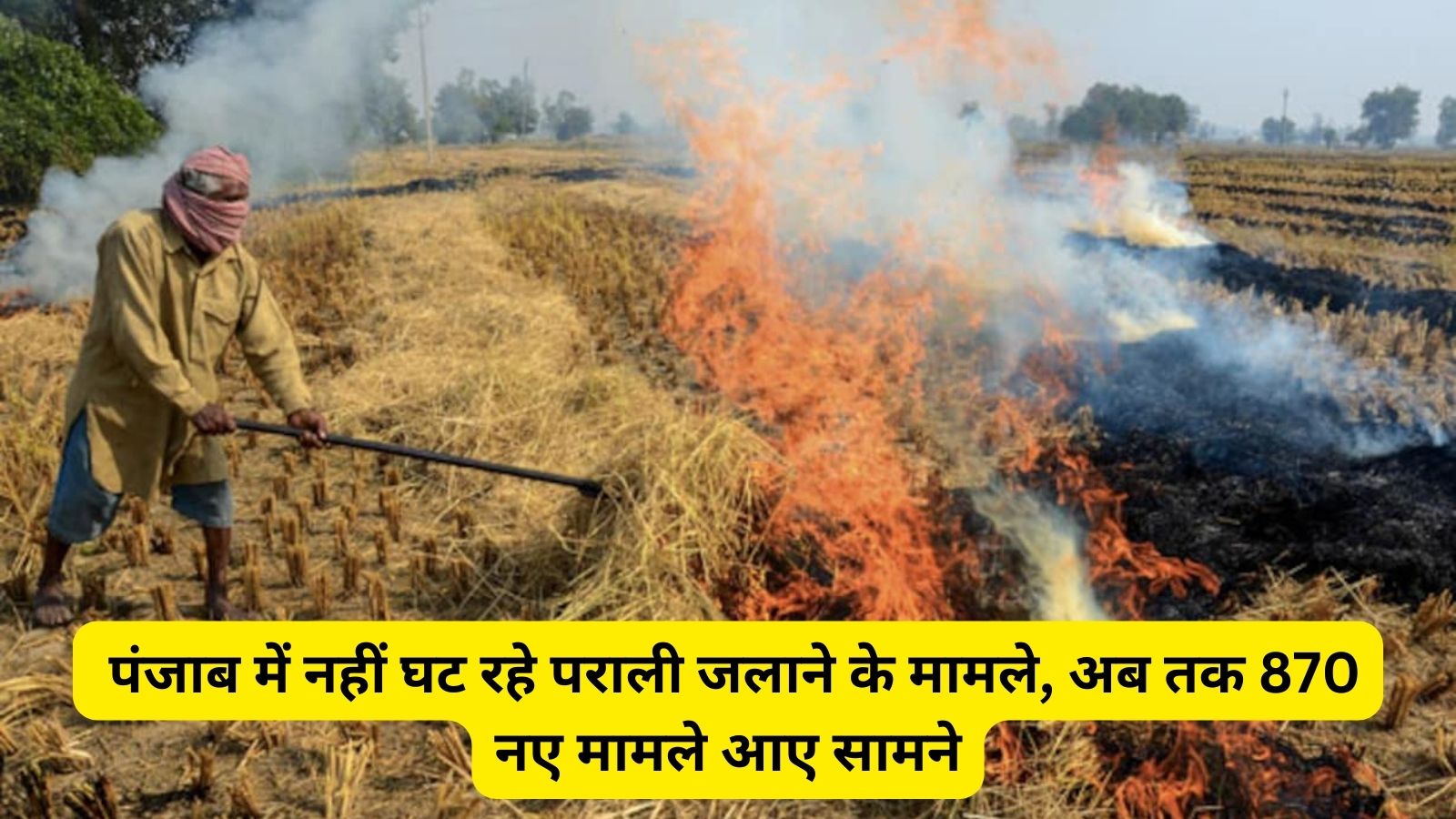 Punjab News: पंजाब में नहीं घट रहे पराली जलाने के मामले, अब तक 870 नए मामले आए सामने, जानें पूरी डिटेल