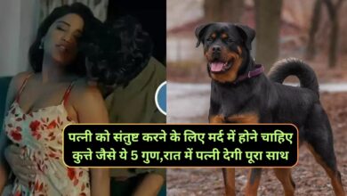 Chanakya Niti:पत्नी को संतुष्ट करने के लिए मर्द में होने चाहिए कुत्ते जैसे ये 5 गुण,रात में पत्नी देगी पूरा साथ