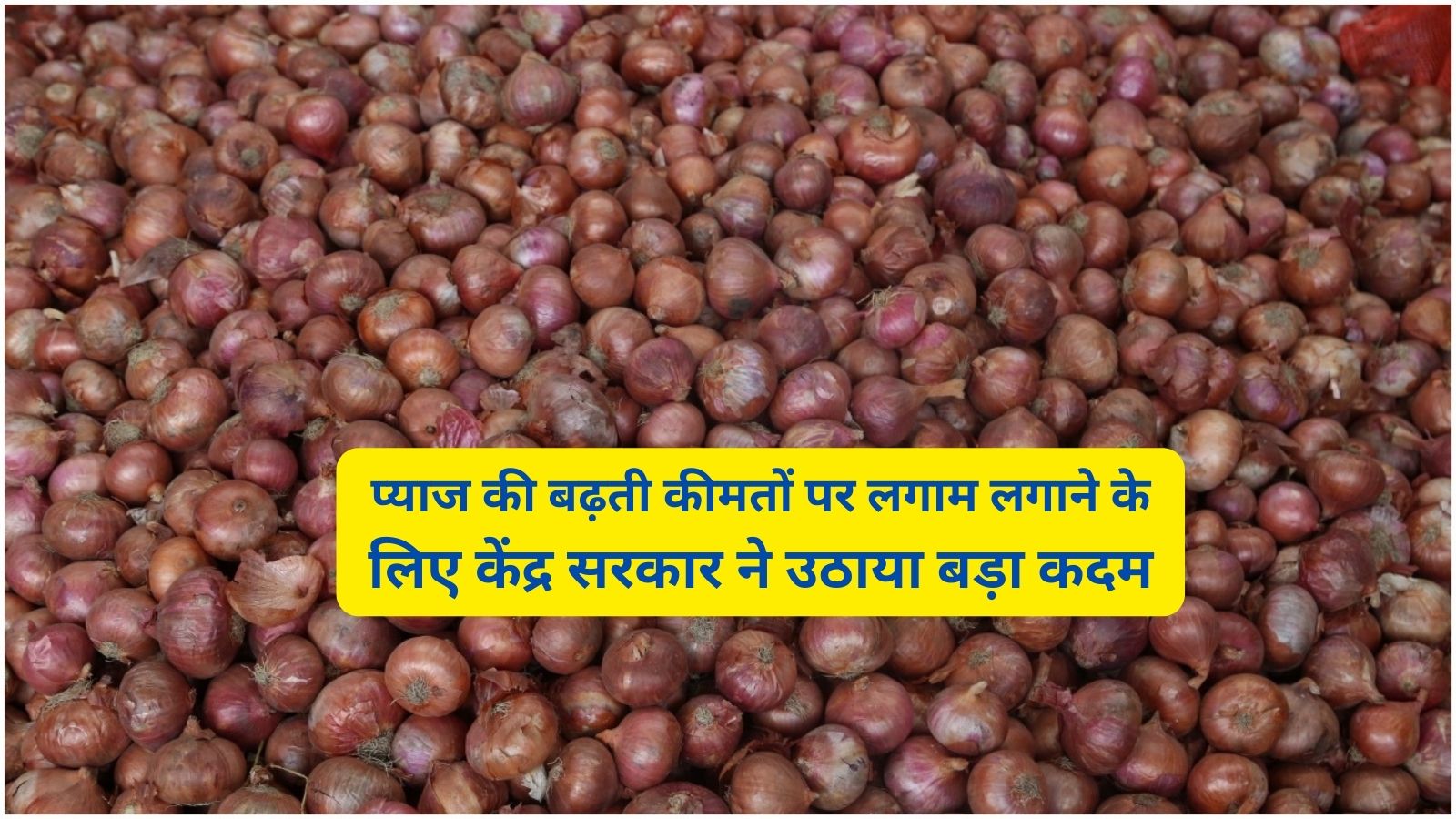 Onion Price: प्याज की बढ़ती कीमतों पर लगाम लगाने के लिए केंद्र सरकार ने उठाया बड़ा कदम,घट जाएंगे दाम!