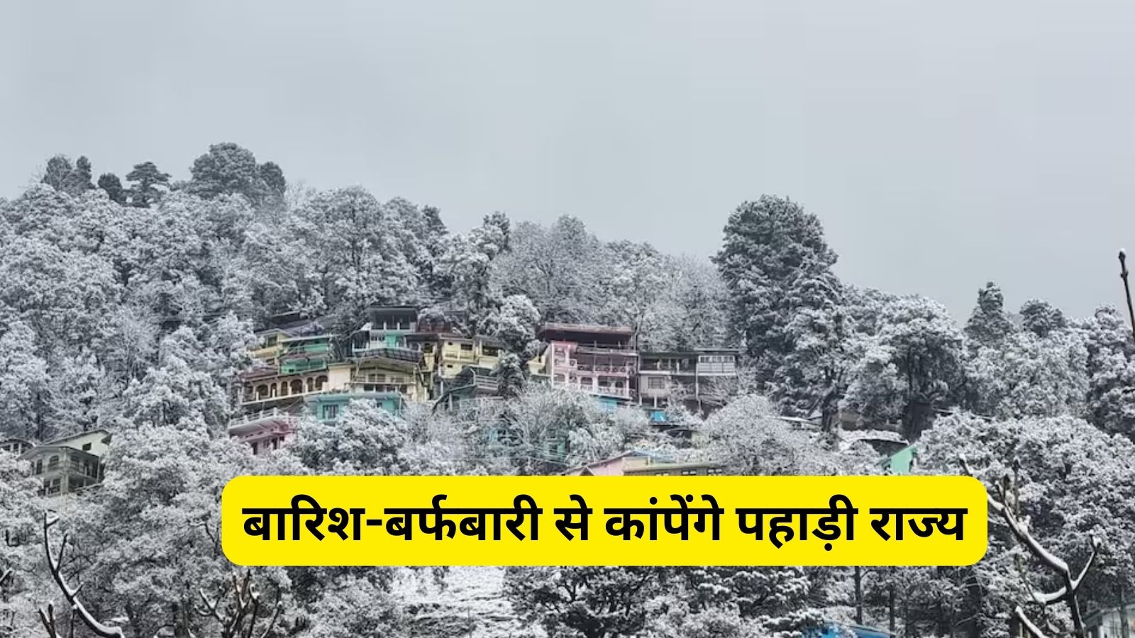 Weather Alert: बारिश-बर्फबारी से कांपेंगे पहाड़ी राज्य,जानिए अपने राज्य मे कैसा रहेगा मौसम का हाल