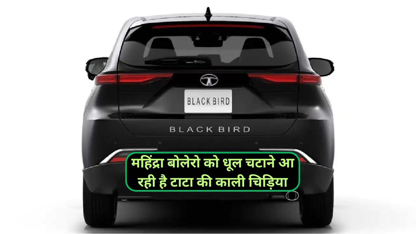 Tata Blackbird: महिंद्रा बोलेरो को धूल चटाने आ रही है टाटा की काली चिड़िया,जानिए इसके शक्तिशाली इंजन और जबरदस्त फीचर्स के बारे में