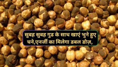 Health Tips: सुबह सुबह गुड के साथ खाएं भुने हुए चने,एनर्जी का मिलेगा डबल डोज़,