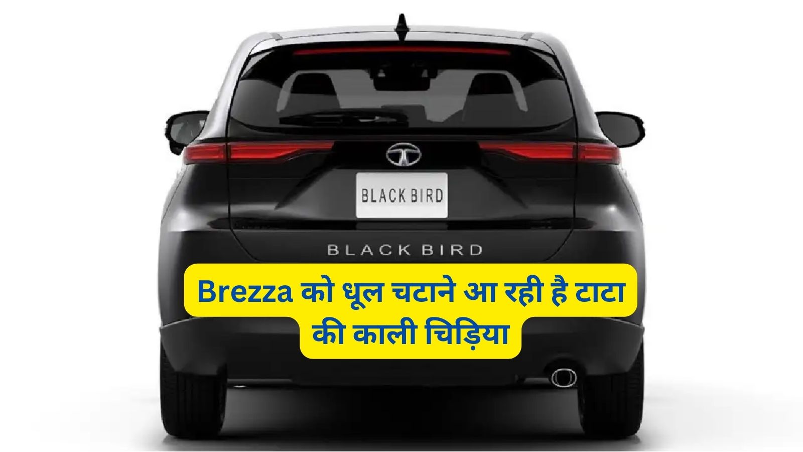 Tata Blackbird: Brezza को धूल चटाने आ रही है टाटा की काली चिड़िया,जानिए इसके शक्तिशाली इंजन और लाजवाब फीचर्स के बारे में