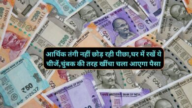 Vastu Tips:आर्थिक तंगी नहीं छोड़ रही पीछा,घर में रखें ये चीजें,चुंबक की तरह खींचा चला आएगा पैसा