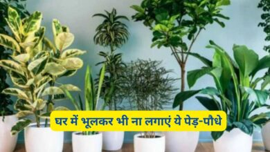 Vastu Tips For Home: घर में भूलकर भी ना लगाएं ये पेड़-पौधे,ये पेड़-पौधे लगाने से नष्ट हो जाएगी घर की सुख-शांति