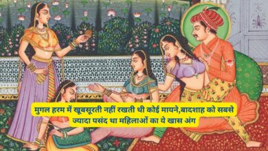 Mughal Harem Dark Secrets:मुगल हरम में खूबसूरती नहीं रखती थी कोई मायने,बादशाह को सबसे ज्यादा पसंद था महिलाओं का ये खास अंग