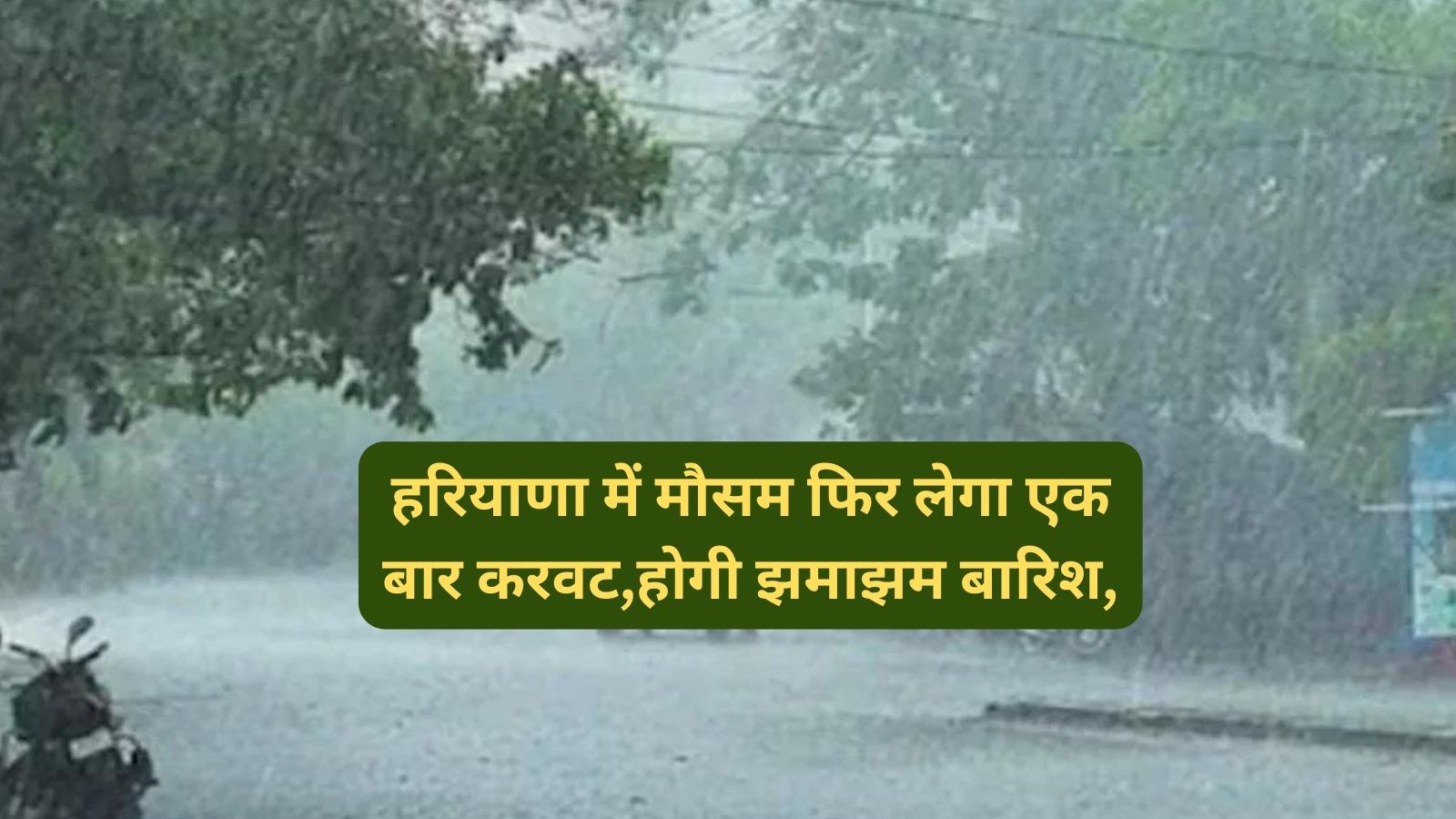 Haryana Weather: हरियाणा में मौसम फिर लेगा एक बार करवट,होगी झमाझम बारिश,