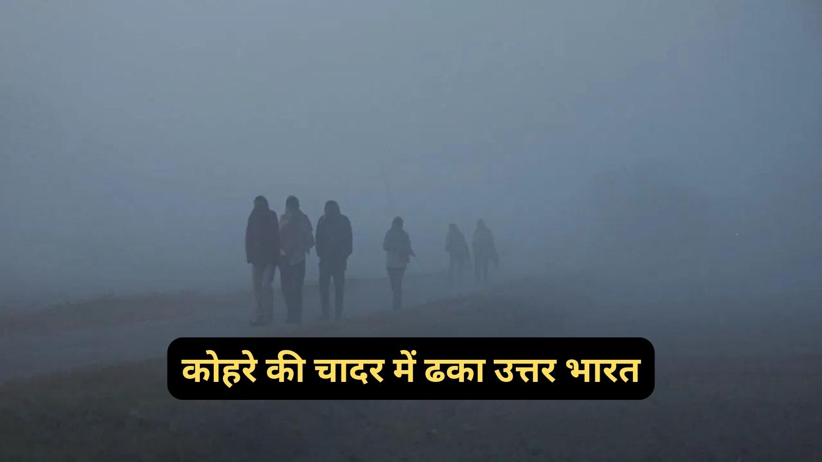 Weather Update:कोहरे की चादर में ढका उत्तर भारत,जानिए आने वाले दिनों के मौसम का हाल