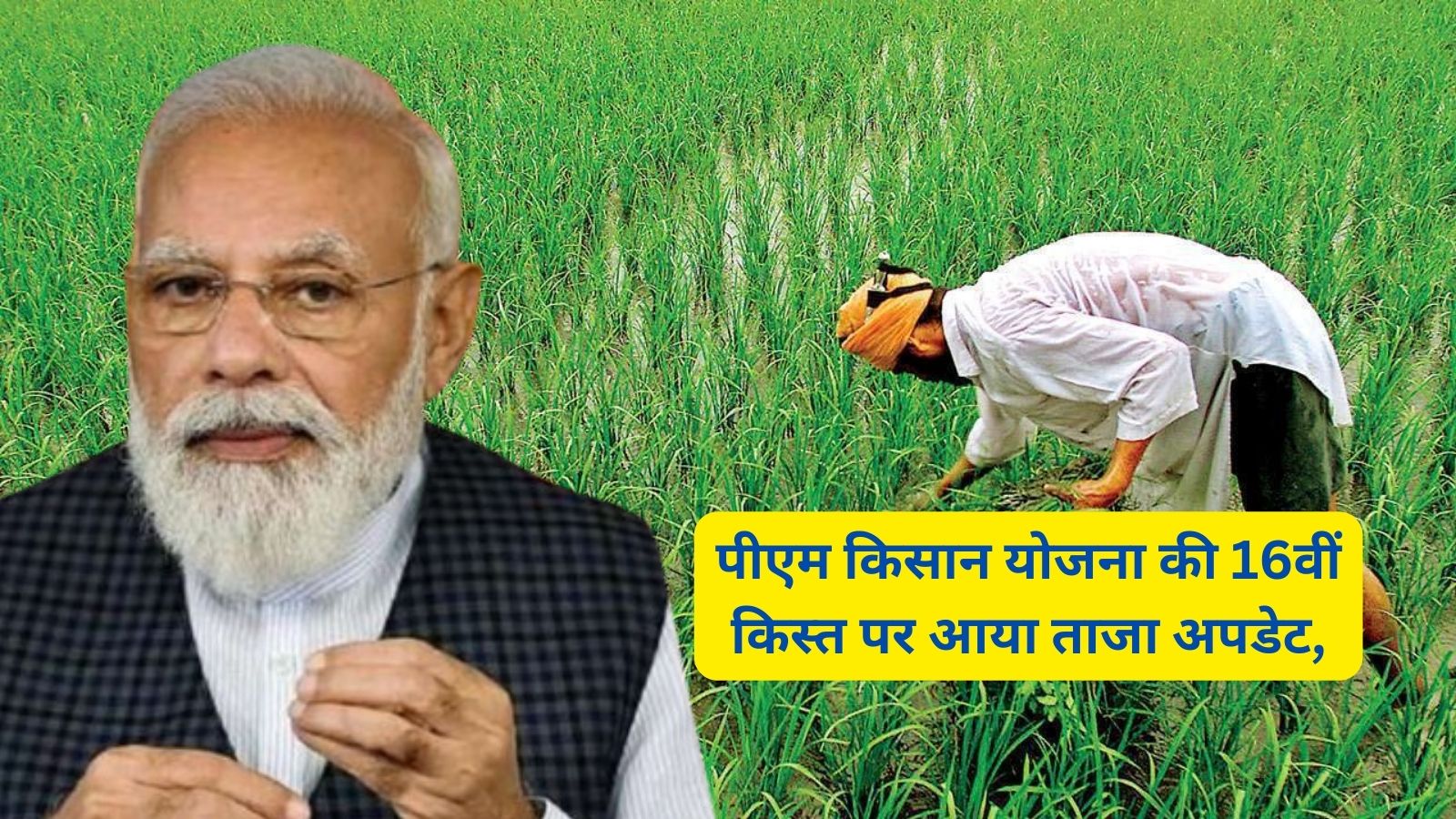 PM Kisan Samman Nidhi Yojana:पीएम किसान योजना की 16वीं किस्त पर आया ताजा अपडेट,मोदी सरकार इस दिन जारी कर सकती है 16वीं किस्त,