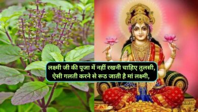 Maa Lakshmi:लक्ष्मी जी की पूजा में नहीं रखनी चाहिए तुलसी,ऐसी गलती करने से रूठ जाती है मां लक्ष्मी,