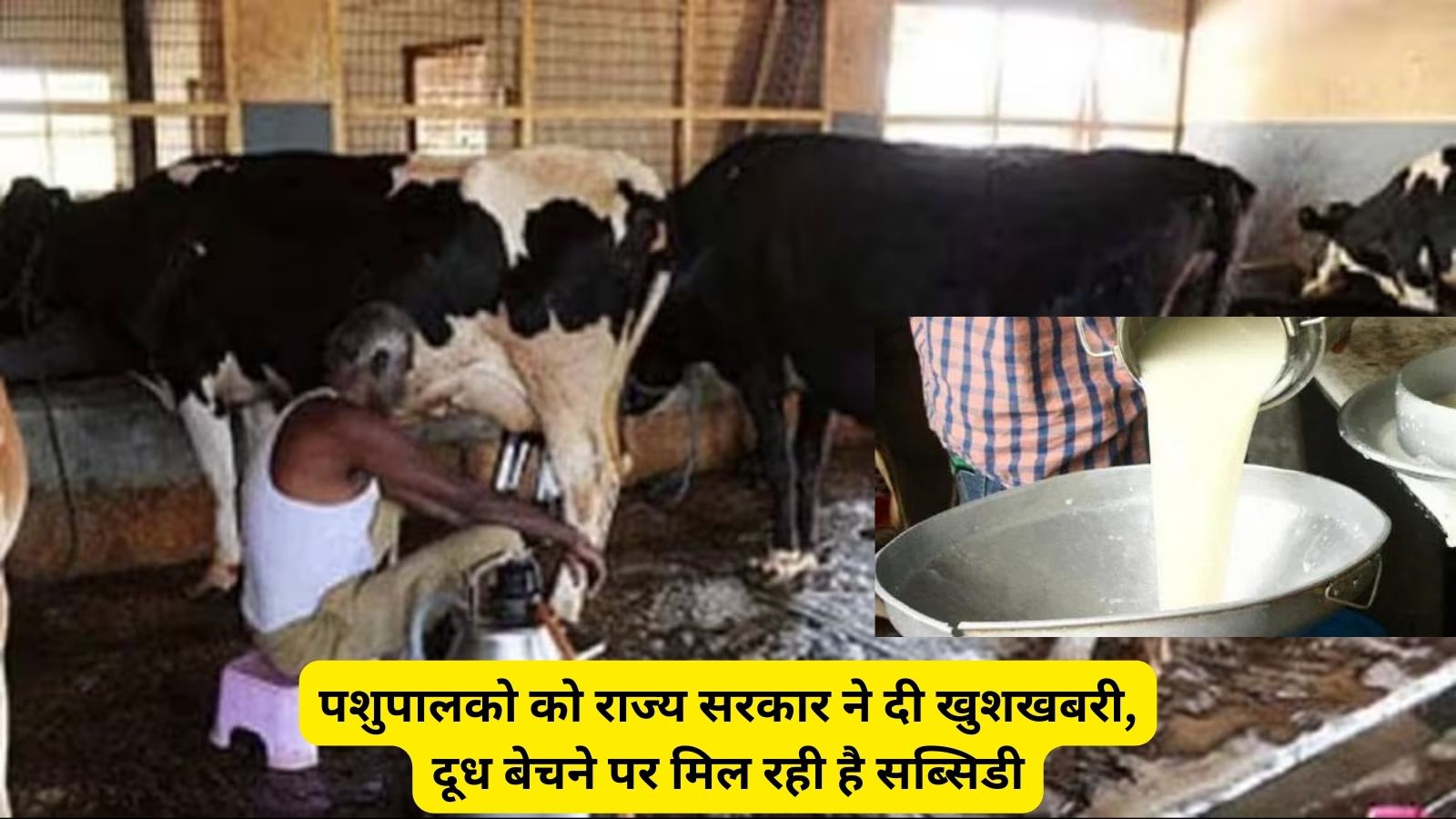 Milk Subsidy 