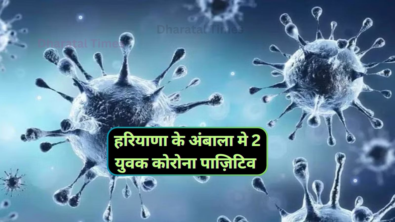 Corona Virus Haryana:हरियाणा के अंबाला मे 2 युवक कोरोना पाज़िटिव