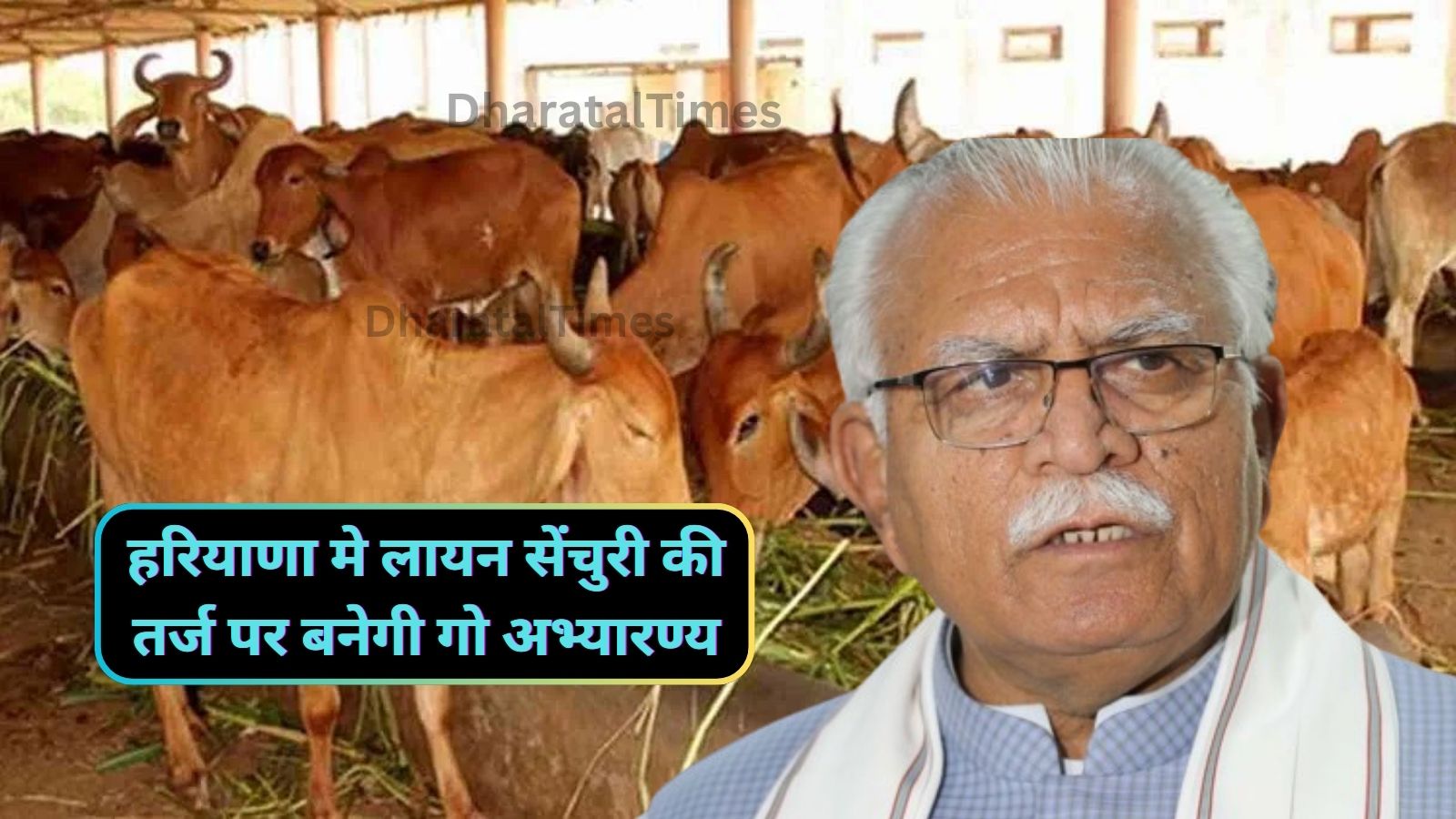 Cow Abhyaran Haryana:हरियाणा मे लायन सेंचुरी की तर्ज पर बनेगी गो अभ्यारण्य,सरकार ने दिया प्रस्ताव
