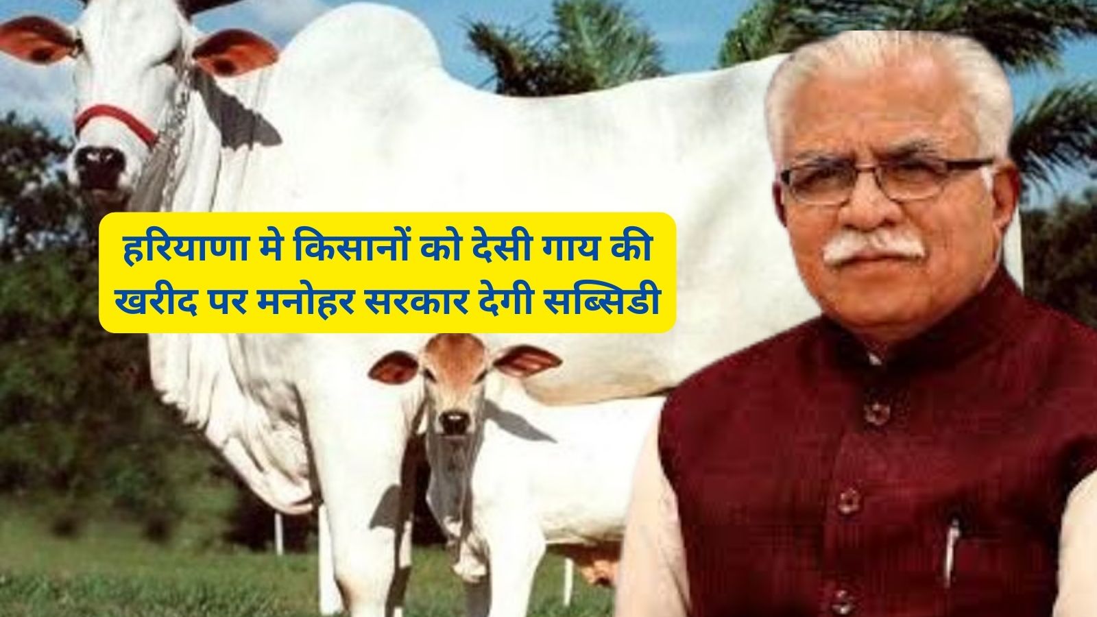 Cow Subsidy Haryana