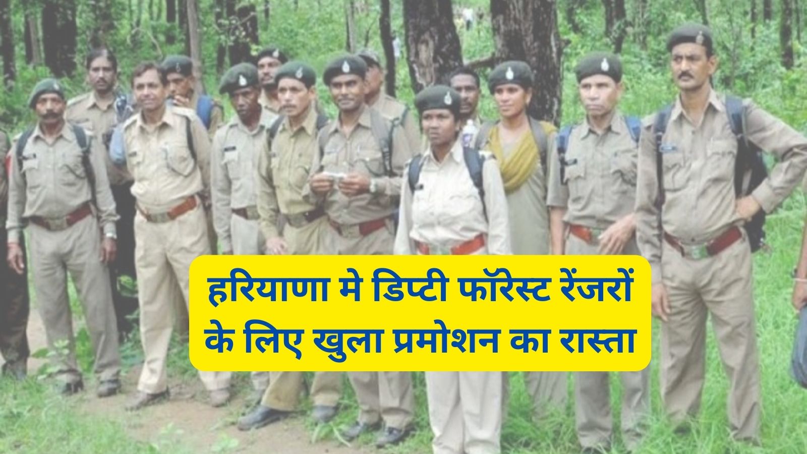 Deputy Forest Ranger Haryana:हरियाणा मे डिप्टी फॉरेस्ट रेंजरों के लिए खुला प्रमोशन का रास्ता,वन विभाग ने बदले प्रमोशन के नियम