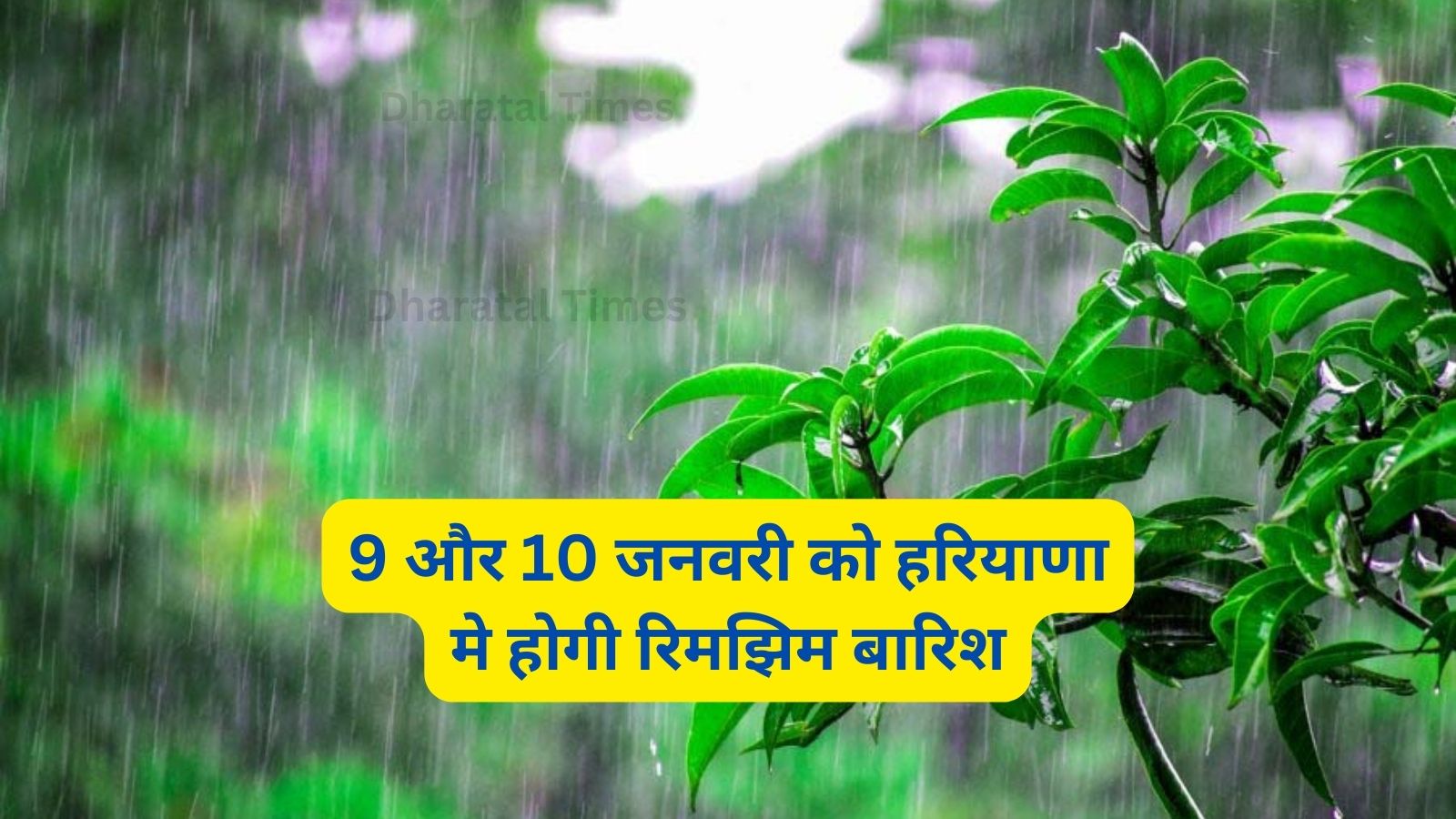 Haryana Me Kal Ka Mausam:हरियाणा मे कल सक्रिय होगा एक पश्चिमी विक्षोभ,9 और 10 जनवरी को हरियाणा मे होगी रिमझिम बारिश