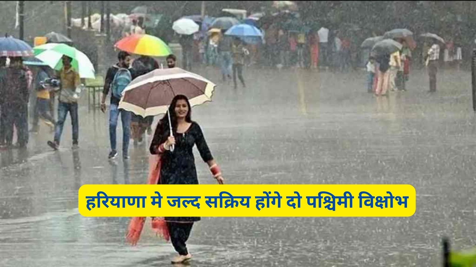 Haryana Weather 