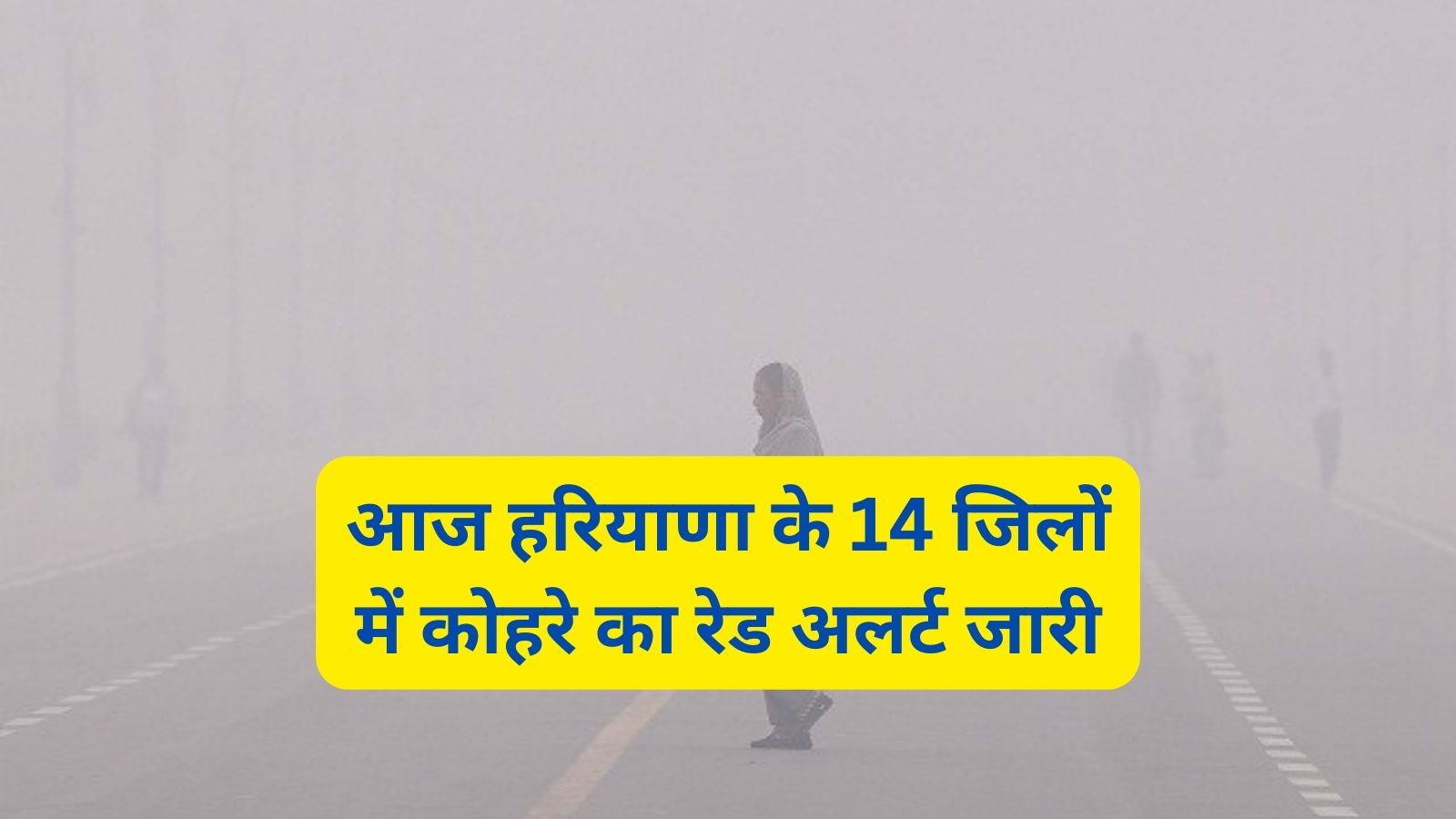 Haryana Weather Today:आज हरियाणा के 14 जिलों में कोहरे का रेड अलर्ट जारी,