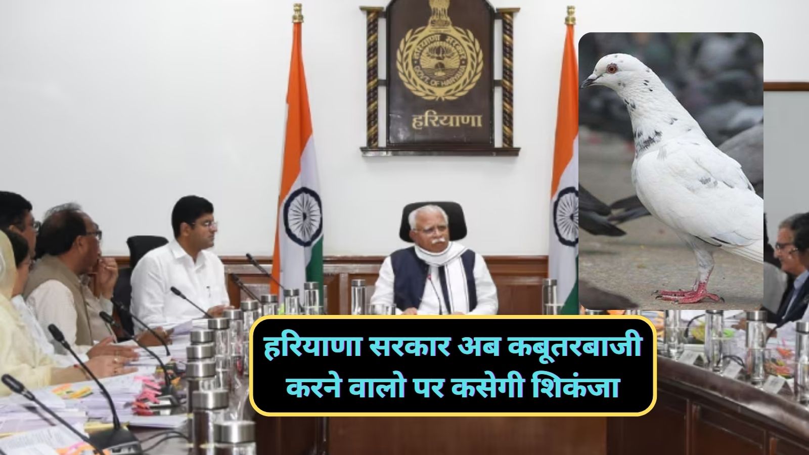 Haryana News :हरियाणा सरकार अब कबूतरबाजी करने वालो पर कसेगी शिकंजा,ऐसा करने पर 10 साल तक सजा का प्रावधान