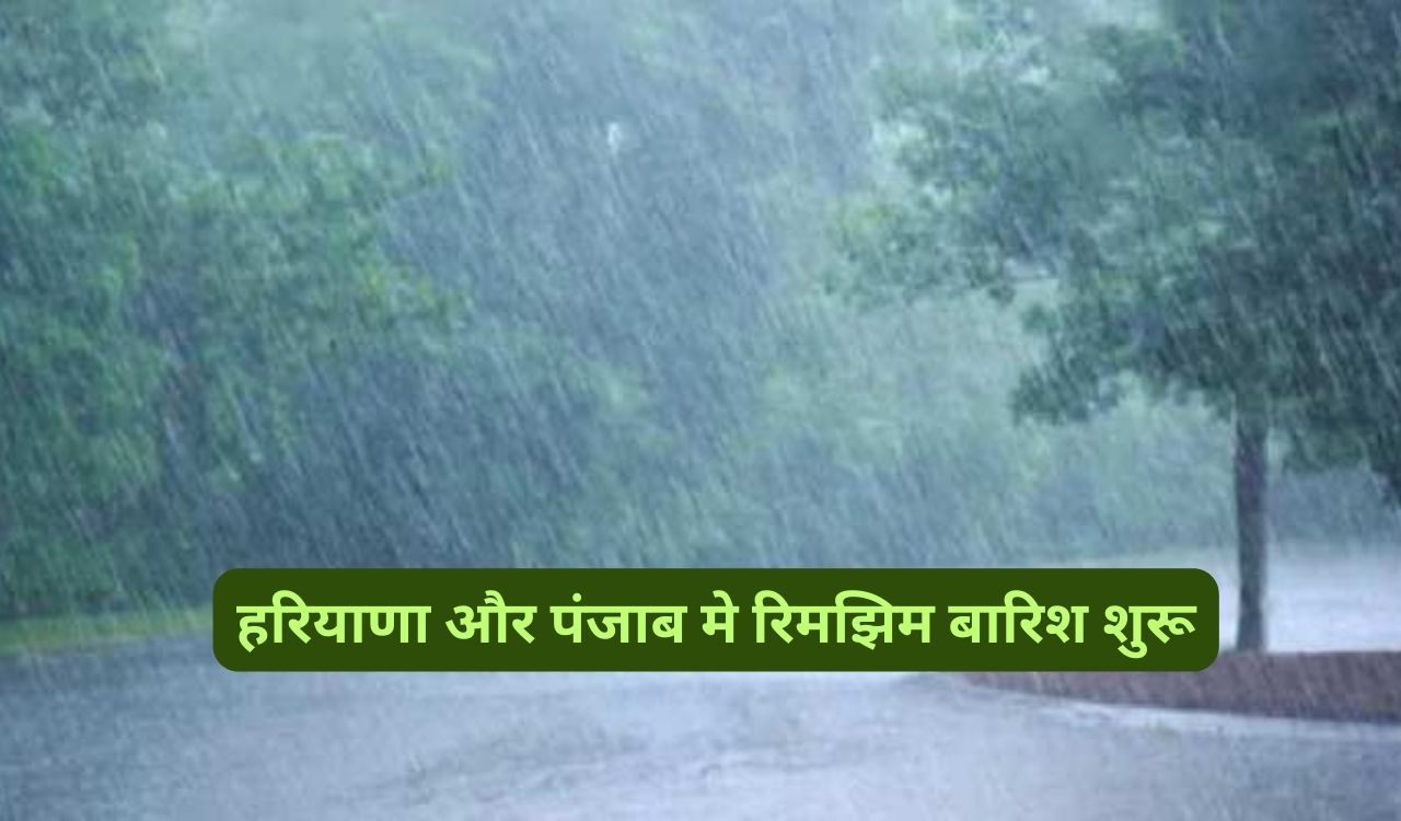 Haryana Me Barish :हरियाणा और पंजाब मे रिमझिम बारिश शुरू,जानिए आने वाले दिनों के मौसम का हाल - dharataltimes.com
