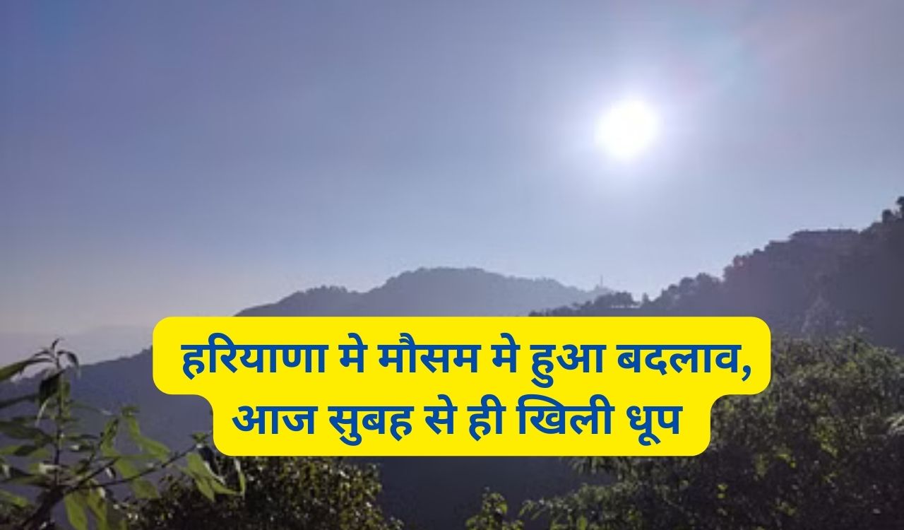 Haryana Weather Report