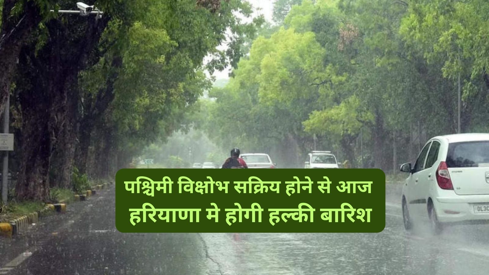 Haryana Weather Update :पश्चिमी विक्षोभ सक्रिय होने से आज हरियाणा मे होगी  हल्की बारिश,जानिए आज के मौसम का पूर्वानुमान - dharataltimes.com