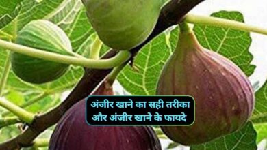 अंजीर खाने का तरीका