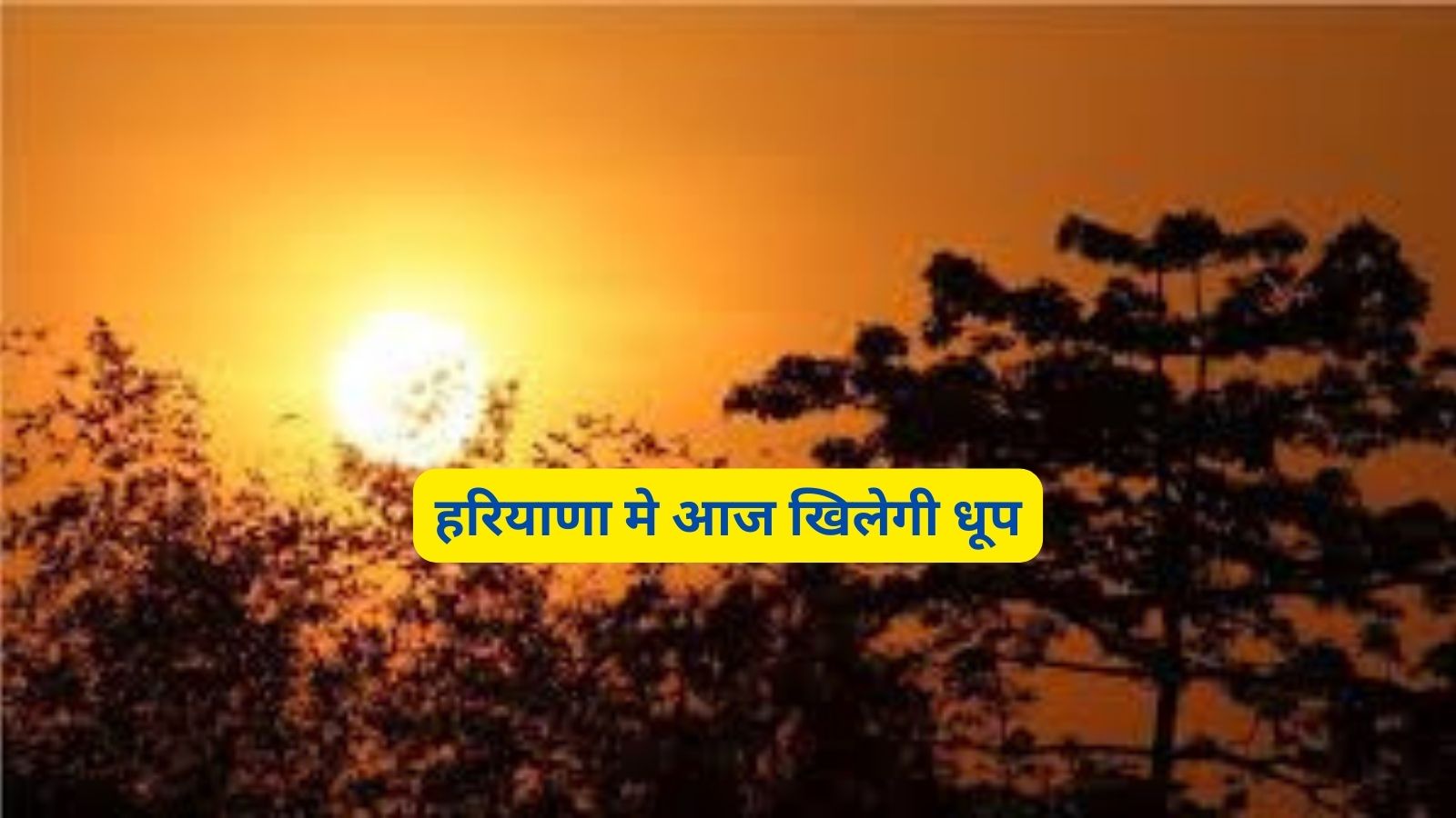 Haryana Weather Update : हरियाणा मे आज खिलेगी धूप,जानिए मौसम का हाल
