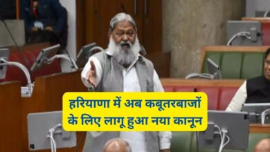 हरियाणा में अब कबूतरबाजों के लिए लागू हुआ नया कानून