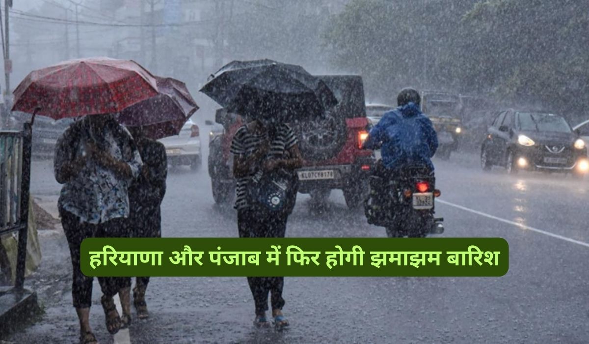 Rainfall Alert : हरियाणा और पंजाब में फिर होगी झमाझम बारिश,जानिए मौसम का हाल - dharataltimes.com