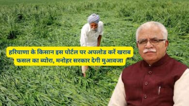 Compensation Portal Haryana