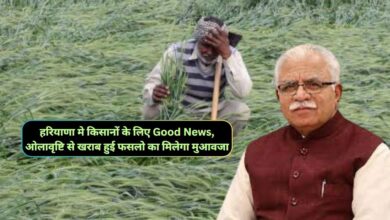 E-Compensation Portal Haryana