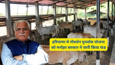 Goverdhan Punarvas Yojana Haryana