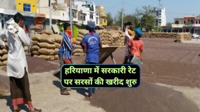 Government Mandi Haryana