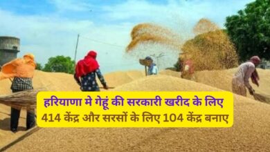 Government Procurement Center Haryana