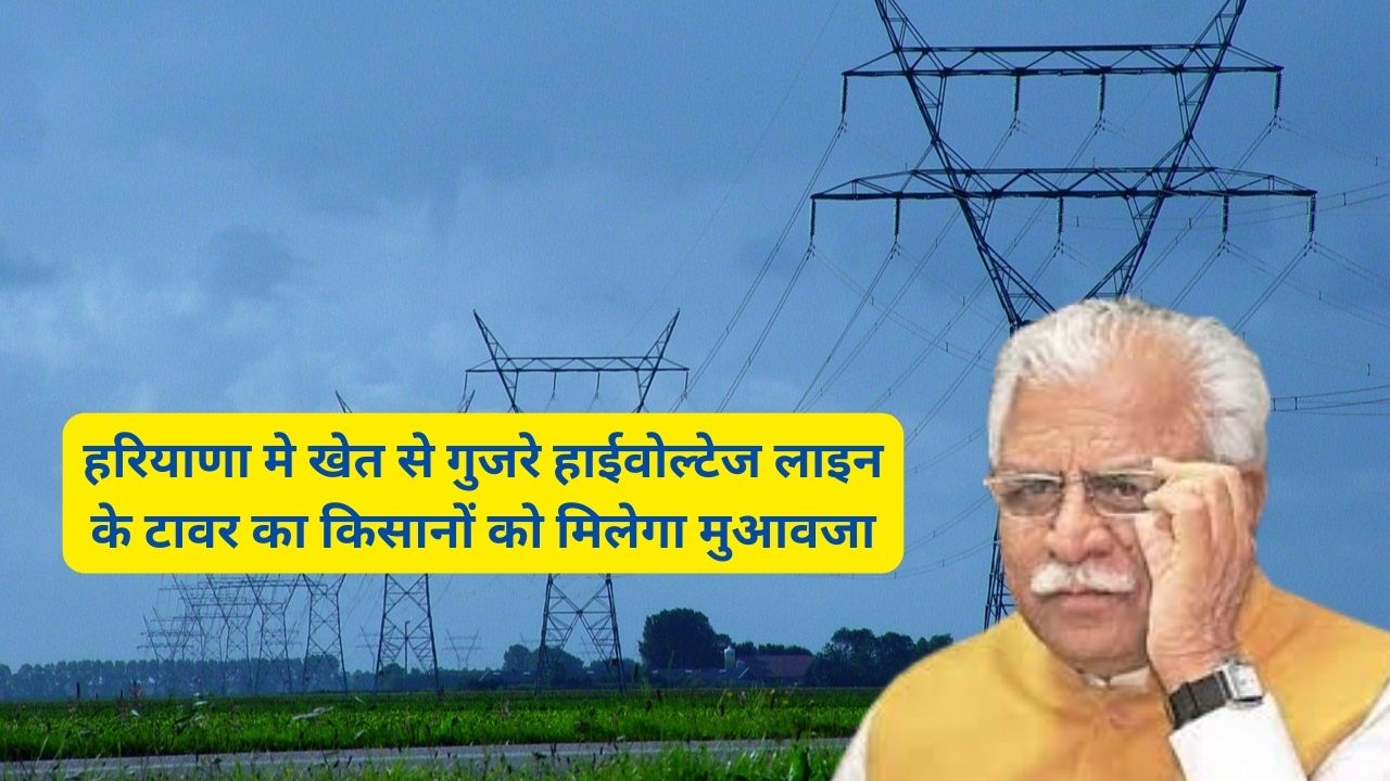 High Voltage Line Haryana