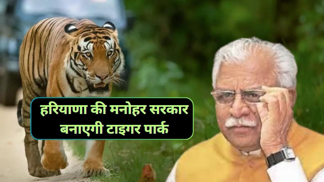 Tiger Park Haryana