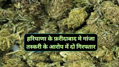 Faridabad Crime News