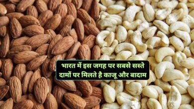 Cheapest Dry Fruits Market
