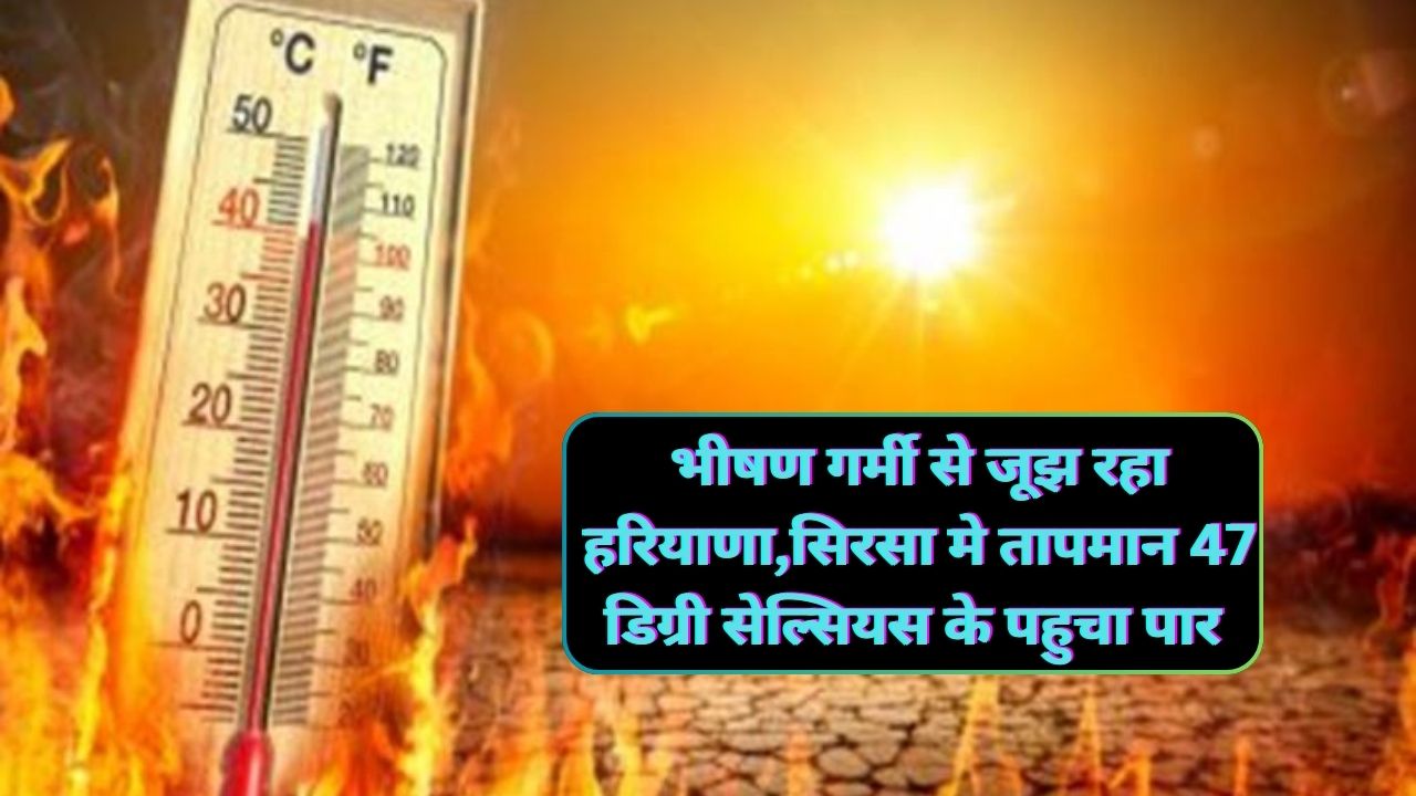 Heat Wave Alert Haryana