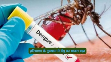 Dengue News