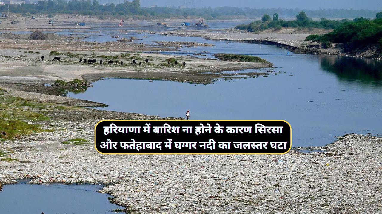 Ghaggar River Water Level